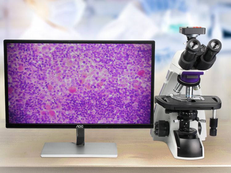 生物电子游戏与金相电子游戏相比，有哪些区别？